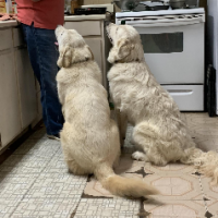 TiredofBeingRight247