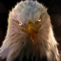 LegEagle