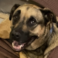 Thorjr