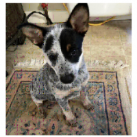 Office_of_the_Govenator