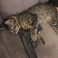 RobCis49