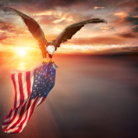 Ringo_Liberty