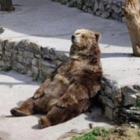 LionNotSheep45