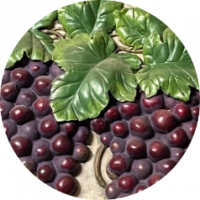 Cabernet51