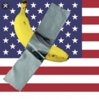 MDWilliams55