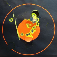 Denny_Ultra_MAGA_Crane