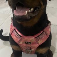 Sammie