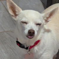 Mhigurl