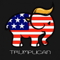 FreedomRing