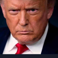 TRUMP_WON2020