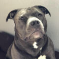 PurePisces