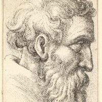 MSC