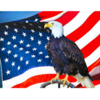 SeniorPatriot