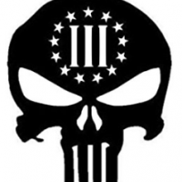 Freedomrik