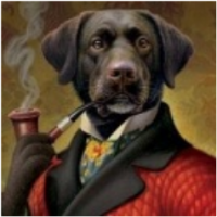 LordMeddybemps