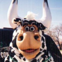 cowchipper