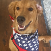 FreedomRanger1776
