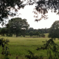 Hinterland_Living