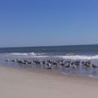 Saltygirl65