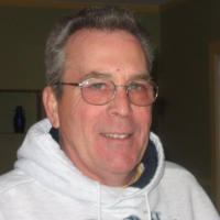 Armadilloonhalfshell