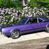 doc7