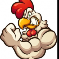 Rooster24