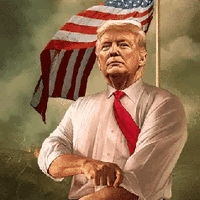 Bravo4USA