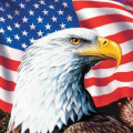 TheEaglePatriot