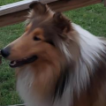 luvechoka