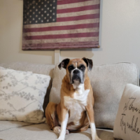 American_Proud