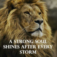 🌹PortlandRose~Debs xx