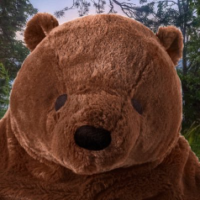 djungelskoghatesminorities