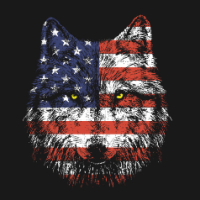 NWGrayWolf
