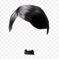 FranklinDude
