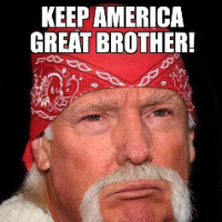 Amerifan